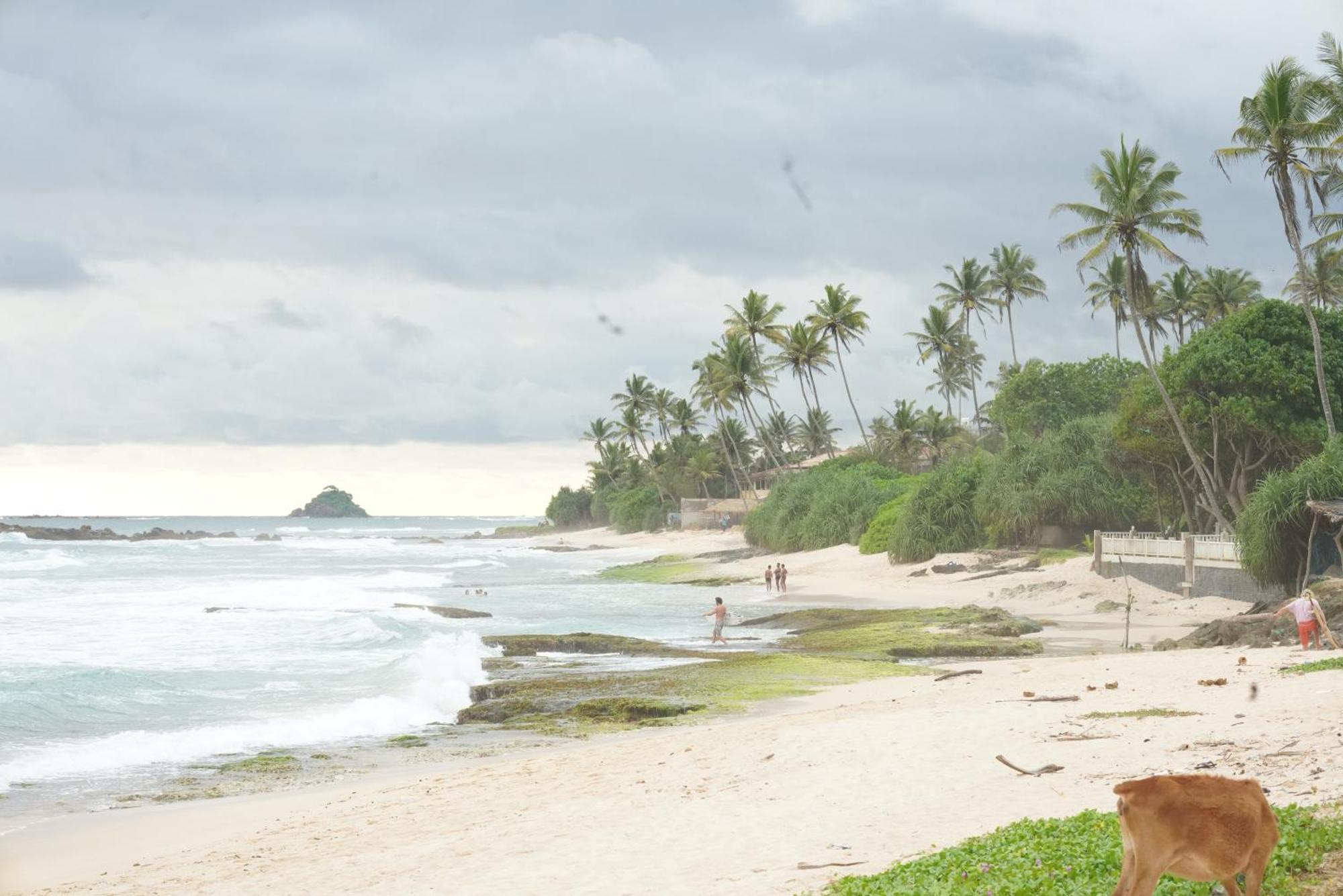 Surf Orchid Villa Weligama Bagian luar foto